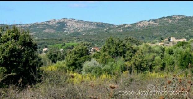 Terreno agricolo 6 ettari vicinanze Rena Majore