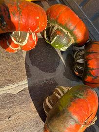 Arredamento zucca