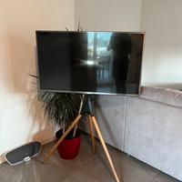 Cavalletto Tv