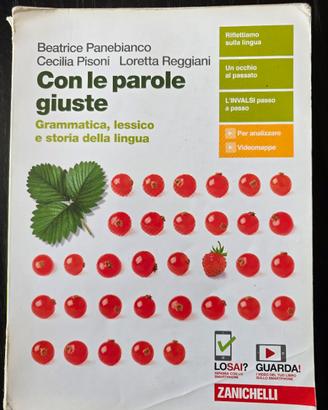 con le parole giuste 