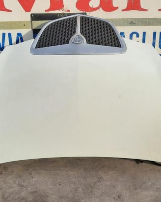 LANCIA YPSILON 2004 - COFANO ANTERIORE