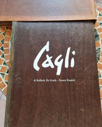 Libro grafico Gaudi, edizione d'arte a tiratura