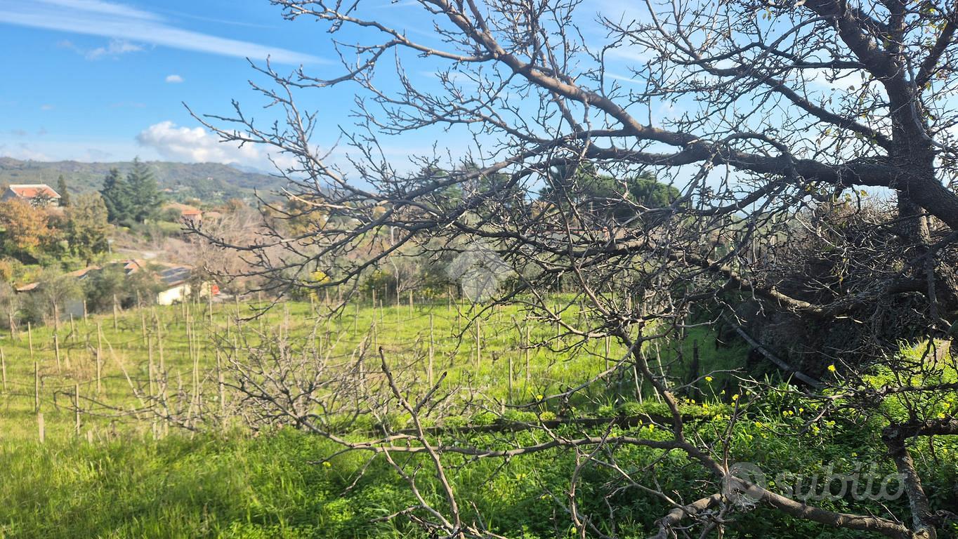 TER. AGRICOLO A PIEDIMONTE ETNEO - Vista 2