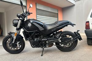 Benelli Leoncino 500 - 2022
