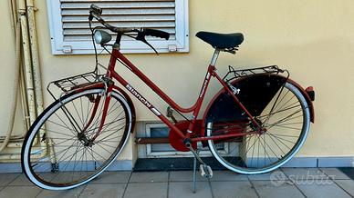 Bici da passeggio e mountain bike