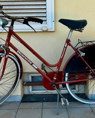 Bici da passeggio e mountain bike