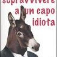 John Hoover,Come sopravvivere a un capo idiota