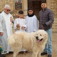 Pastore Maremma Abbruzzese