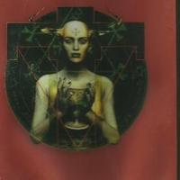 Libro di andrew collins il graal sulle tracce