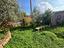 Immagine 25