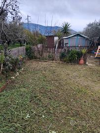 Terreno agricolo 