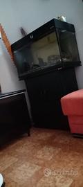 Acquario completo 