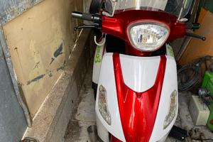 Altro Altro modello - 2019