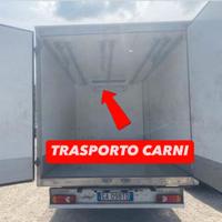 RENAULT MASTER 2.3dci 145cv FRIGO TRASPORTO CARNI