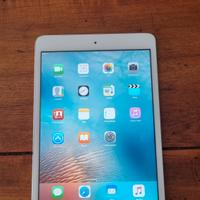 iPad mini 1