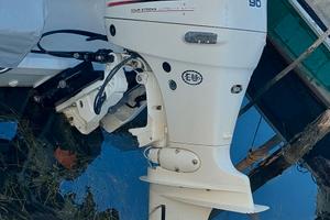 Johnson 90 4T Gambo L 350ore 