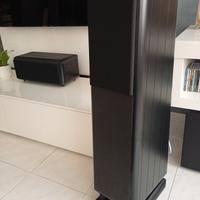 Diff. Chario Constallation Pegasus e Phoenix