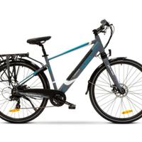 Bici a pedalata assistita Argento Alpha