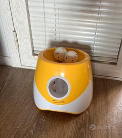 Gioco per cani, spara palline da interno esterno