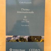 Manuale Diritto internazionale Prassi (2012-2019)