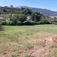 Terreno agricolo