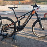 Whistle B-Rush A5.2X LT12 Ebike