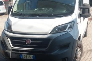 FIAT DUCATO FURGONATO tetto basso