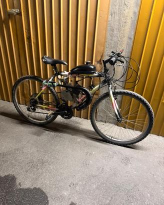 bici con motore 