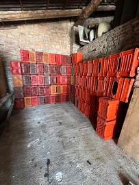 casse per la raccolta del uva