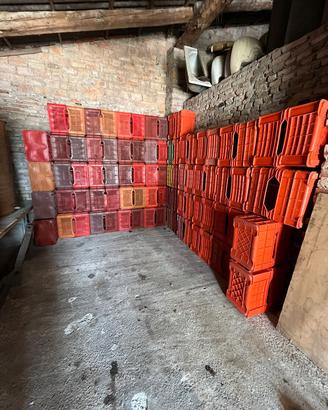 casse per la raccolta del uva