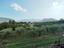 Immagine 22