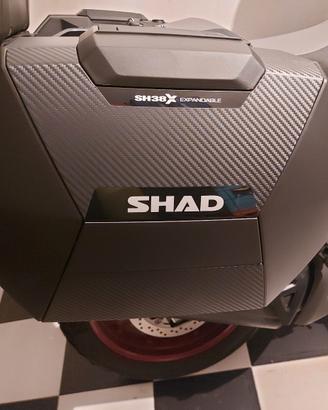 valigie shad espandibili 