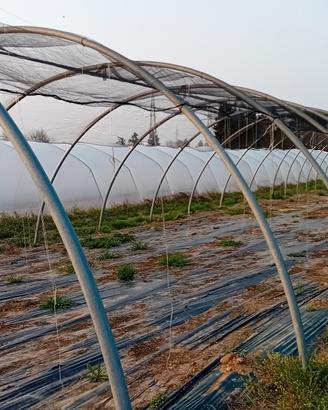 SERRA 6 X 16 TUBO 6 CM RESISTENTE  ENTRO  IL 2 APR