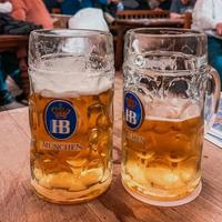  6 Boccali birra HB 
