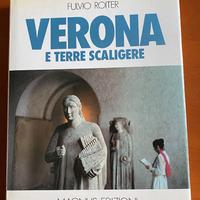 Libro Verona e le terre scaligere di Fulvio Roiter