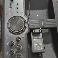 cassa con USB,schedina, radio , bluetooth,luci 