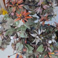 vaso con fiori in vetro 