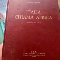 Giovanni Vilella Libro Italia Chiama Africa