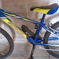 bicicletta ragazzo mis 24 come nuova blu