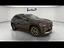 Immagine 7