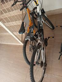 biciclette 