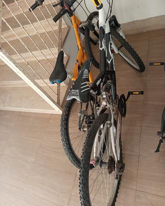 biciclette 