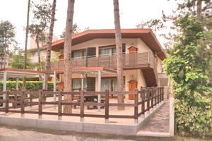 Casa Federica trilo 4 pax 1. piano 100 m dal mare