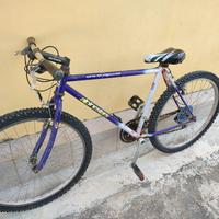 Mountain bike 