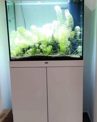 Acquario Juwel