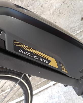 bici elettrica 