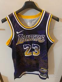 Camotta nike lakers lebron