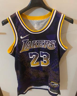 Camotta nike lakers lebron