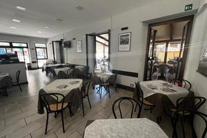 ATTIVITÀ A COGOLETO