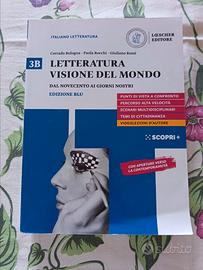 Letteratura visione del mondo 3B